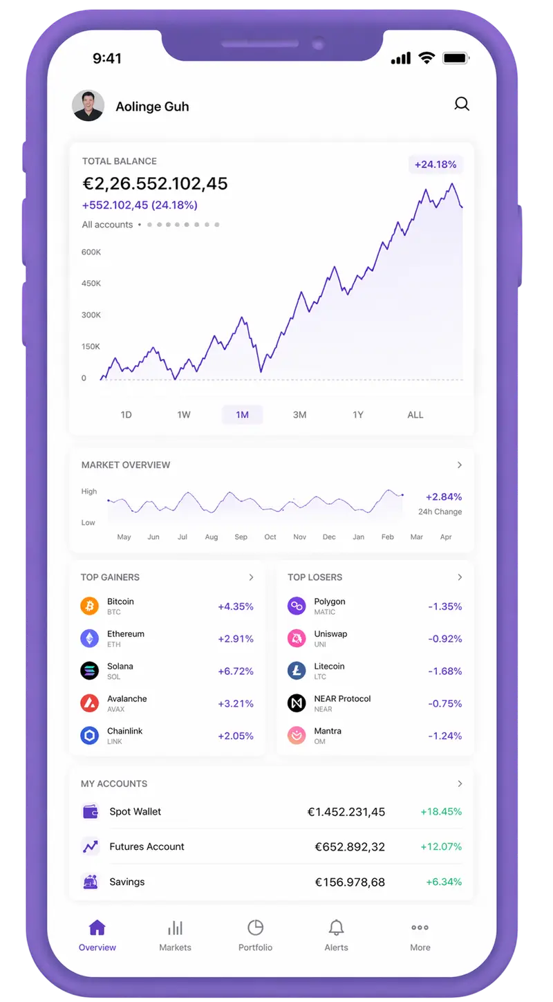 Mobile application interface for portfolio management
