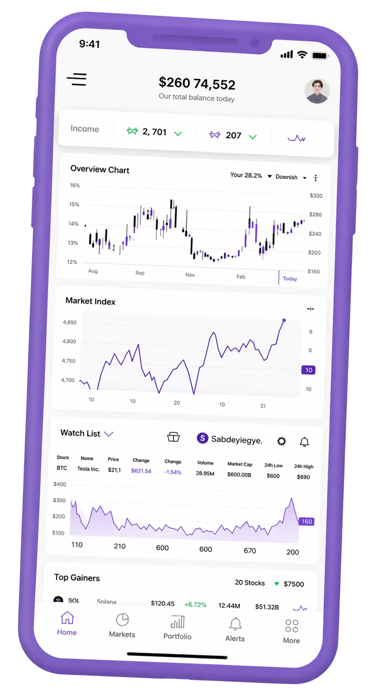 Mobile application interface for portfolio management